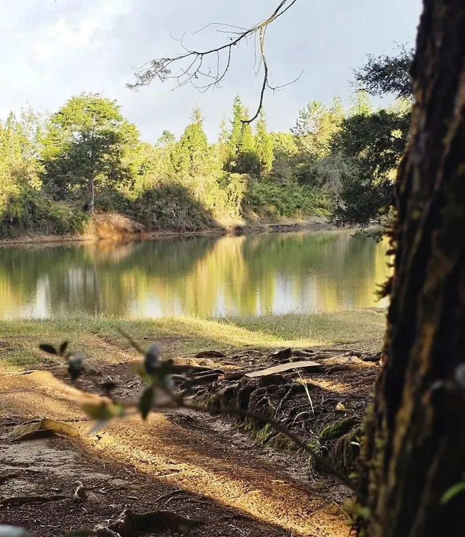 Villa Glamping Sabia Con Wifi, Fogata Y Vistas De Medellin Santa Elena  Santa Elena (Antioquia)